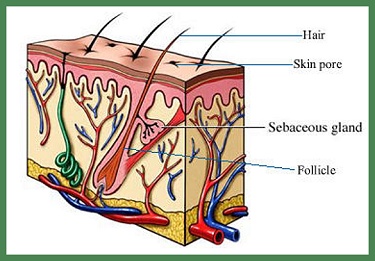 Acne treatments, getting rid of acne, acne causes, natural acne remedies